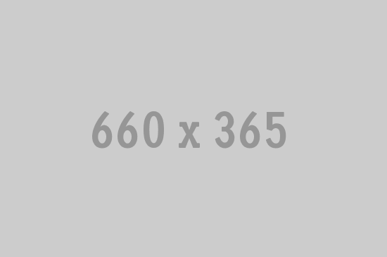 Integer scelerisque vel congue pellentesque